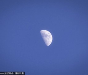 维尼修斯双响推迟巴塞罗那夺冠，西班牙人深陷保级泥潭：一场充满争议与精彩的西甲对决